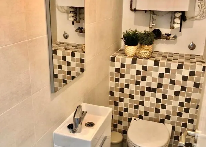 Conde 3 사라고사